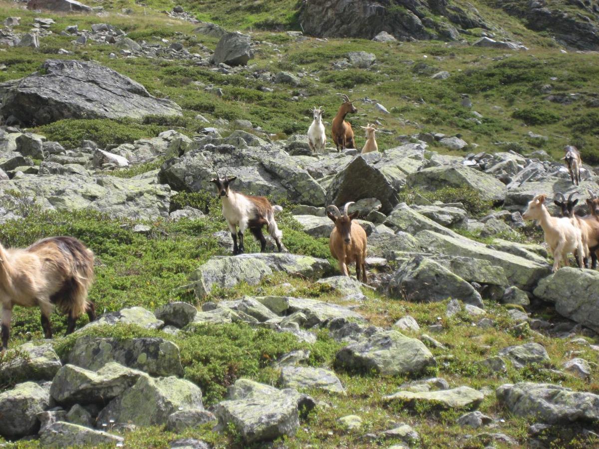 Apart Larcher Kaunertal Exteriér fotografie